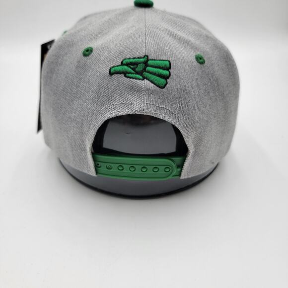Hecho En Mexico Hat Cap Snap Back Gray Green Embroidered Patch Zion Mens Mexican - Picture 3 of 7